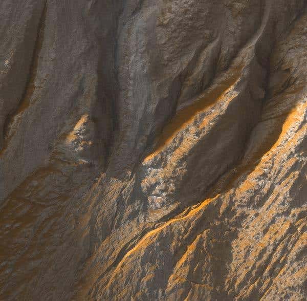 Gullies cut into the side of an unnamed crater about 12 kilometres wide in Mars's southern hemisphere. One of the gullies shows a braided structure characteristic of streams on Earth carrying sediment