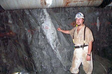 New Scientist. Science news and long reads from expert journalists, covering developments in science, technology, health and the environment on the website and the magazine.