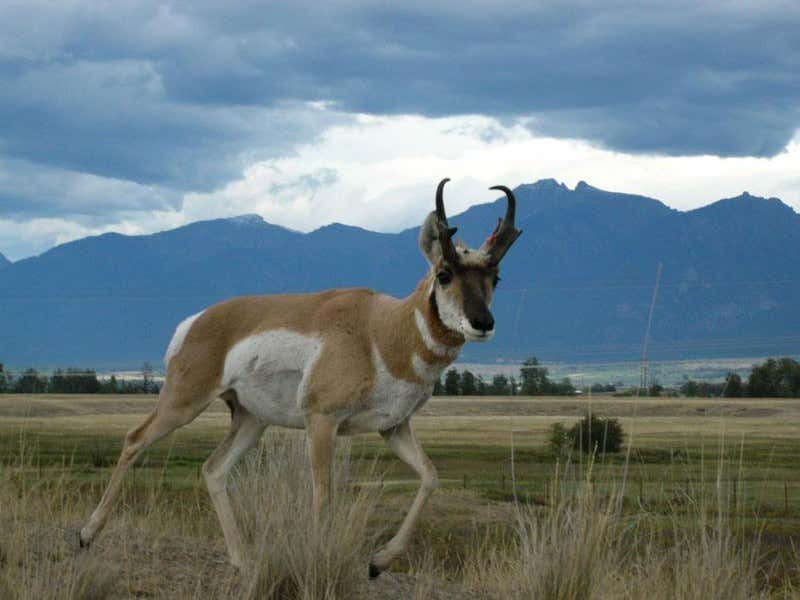 New Scientist. Science news and long reads from expert journalists, covering developments in science, technology, health and the environment on the website and the magazine.