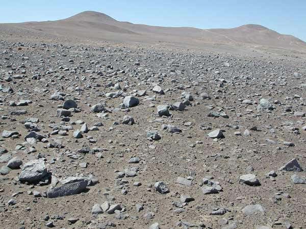 The trace amount of organic matter in soil from the Atacama desert in Chile did not decompose into smaller molecules when heated to the temperatures used in Viking's GCMS experiment 