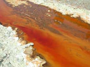 Viking landers may have found Martian life after all