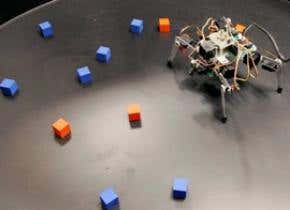 Vision-body link tested in robot experiments