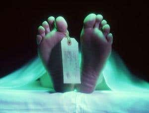 New Scientist. Science news and long reads from expert journalists, covering developments in science, technology, health and the environment on the website and the magazine.