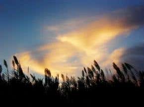 Cosmic rays before seven, clouds by eleven