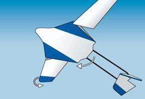 Is it a bird? No, it's a perching plane