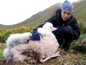 UK fails species in its far-flung territories