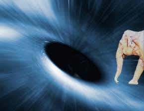 The elephant and the event horizon