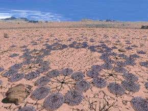 Alien-hunters tune in to ET-TV