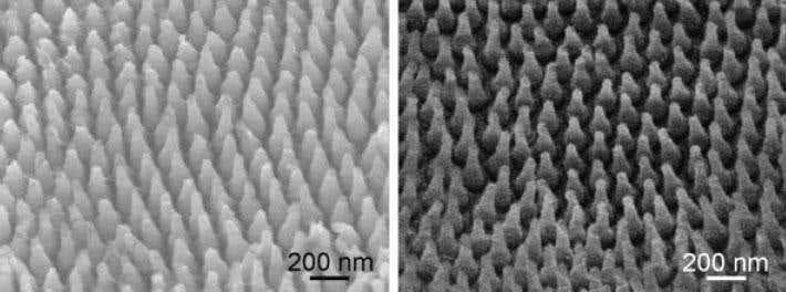 New Scientist. Science news and long reads from expert journalists, covering developments in science, technology, health and the environment on the website and the magazine.