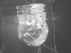 Wave-powered 'ducks' could purify seawater