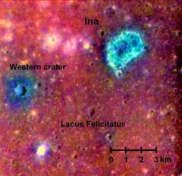 New Scientist. Science news and long reads from expert journalists, covering developments in science, technology, health and the environment on the website and the magazine.