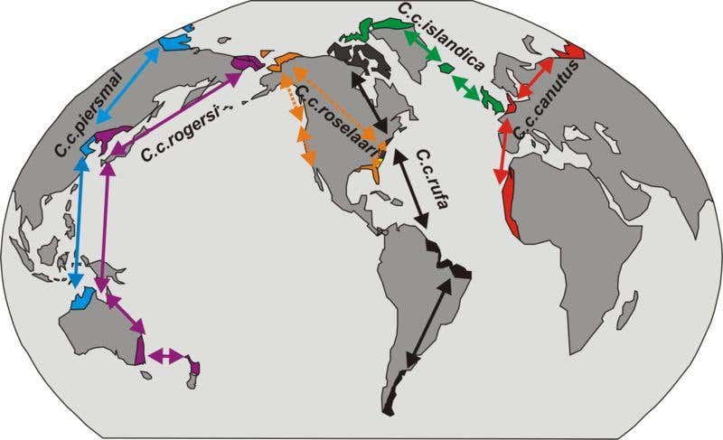 New Scientist. Science news and long reads from expert journalists, covering developments in science, technology, health and the environment on the website and the magazine.