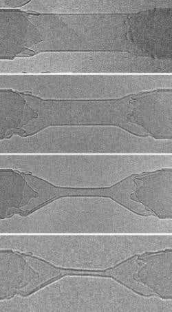 New Scientist. Science news and long reads from expert journalists, covering developments in science, technology, health and the environment on the website and the magazine.