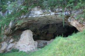 Neanderthals have genome chunk sequenced