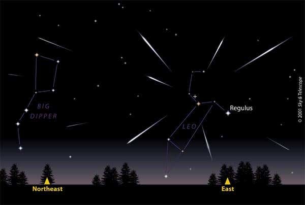 New Scientist. Science news and long reads from expert journalists, covering developments in science, technology, health and the environment on the website and the magazine.