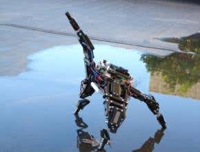 Thoughtful robot adapts to injury