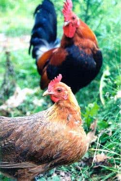 Are you looking at me? 