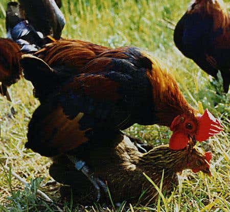 Some images need no caption 