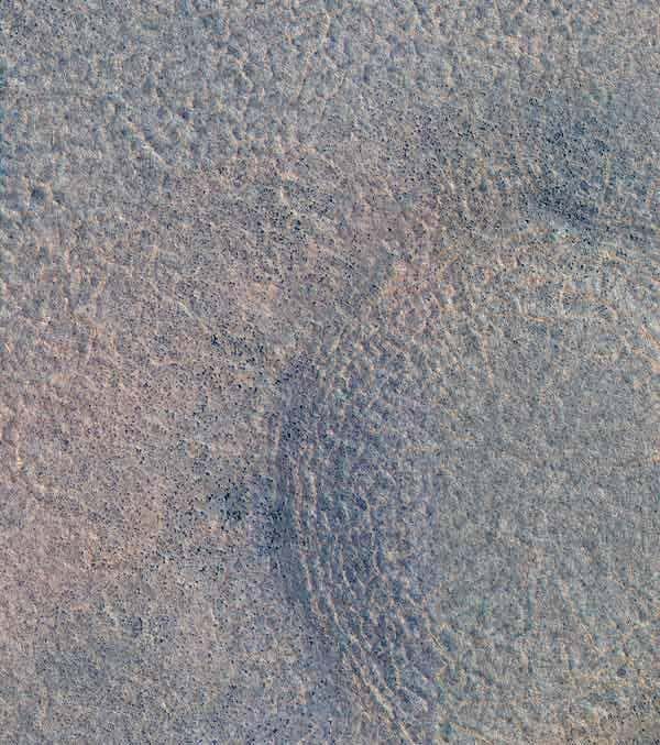 New Scientist. Science news and long reads from expert journalists, covering developments in science, technology, health and the environment on the website and the magazine.