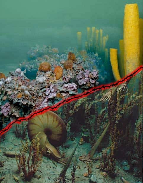 Did an eco-disaster spawn complex life?