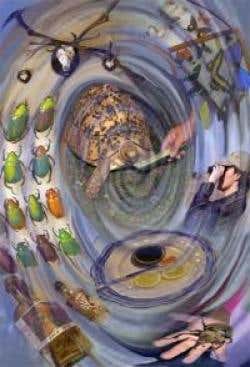 New Scientist. Science news and long reads from expert journalists, covering developments in science, technology, health and the environment on the website and the magazine.