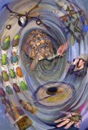 Hunters get the hots for 'endangered' animals