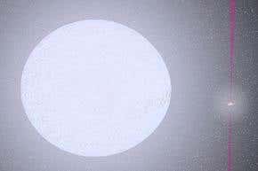 Can flu viruses survive winter in frozen lakes?