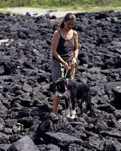 New Scientist. Science news and long reads from expert journalists, covering developments in science, technology, health and the environment on the website and the magazine.