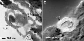 Carbon globules in meteorite may have seeded Earth life