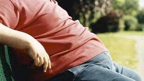 The 10 roads to Fatsville