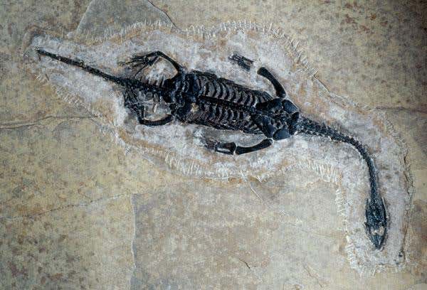 New Scientist. Science news and long reads from expert journalists, covering developments in science, technology, health and the environment on the website and the magazine.