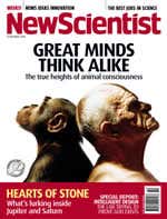 New Scientist issue 2582 cover