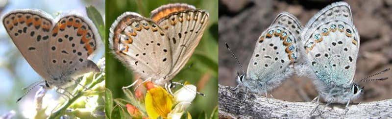 New Scientist. Science news and long reads from expert journalists, covering developments in science, technology, health and the environment on the website and the magazine.