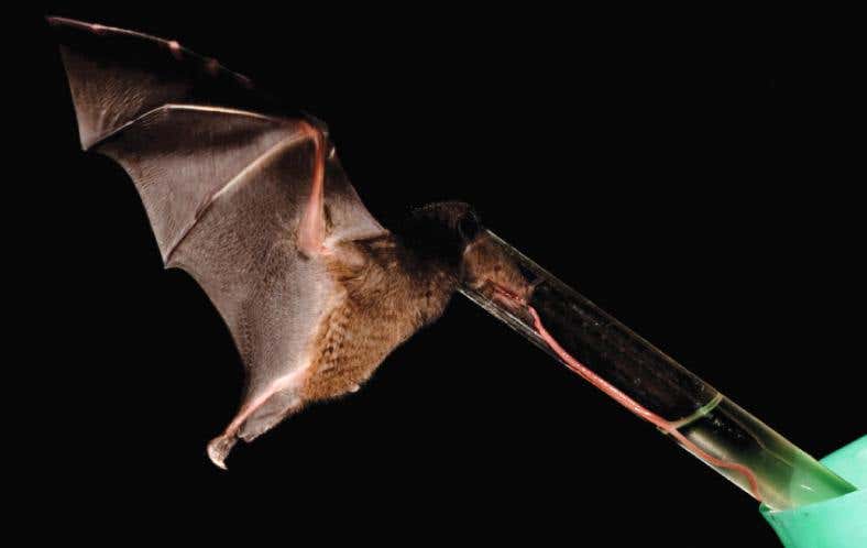 New Scientist. Science news and long reads from expert journalists, covering developments in science, technology, health and the environment on the website and the magazine.