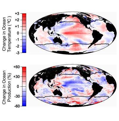 New Scientist. Science news and long reads from expert journalists, covering developments in science, technology, health and the environment on the website and the magazine.