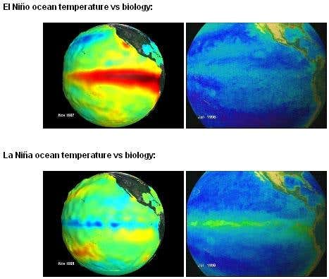 The transition from El Niño to La Niña in 1997 to1998 led to an increase in ocean productivity (top); since then, ocean temperatures have been on the rise again, and ocean productivity has decreased (bottom)