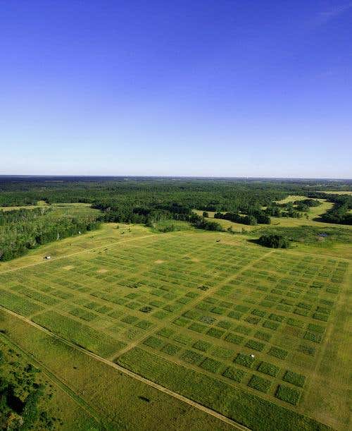 New Scientist. Science news and long reads from expert journalists, covering developments in science, technology, health and the environment on the website and the magazine.