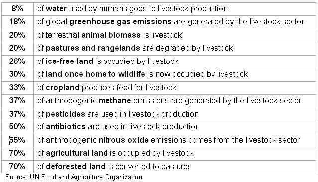 Cows, pigs and sheep: Environment's greatest threats?