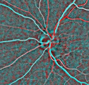 Handheld device sees more colours than humans