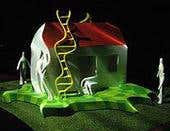 2006: The year in videos