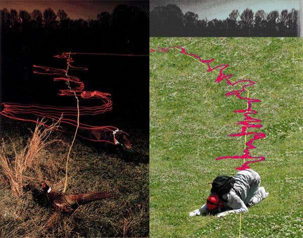 New Scientist. Science news and long reads from expert journalists, covering developments in science, technology, health and the environment on the website and the magazine.