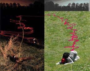 Unleash your inner bloodhound – start sniffing