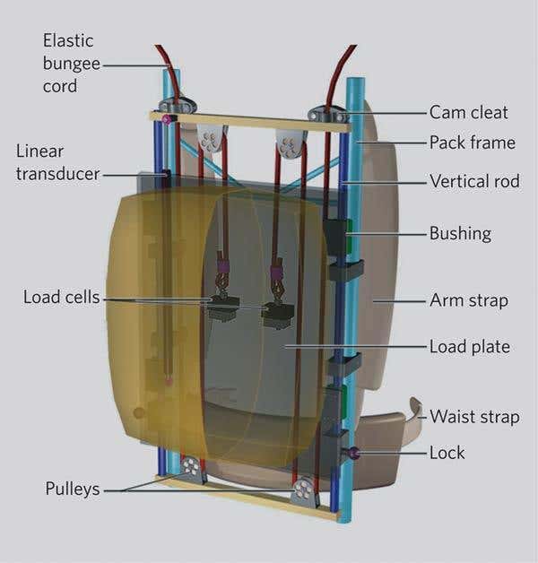 New Scientist. Science news and long reads from expert journalists, covering developments in science, technology, health and the environment on the website and the magazine.