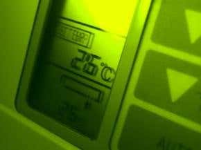 2006: The year in environment