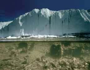 Hidden Antarctica: What lies beneath