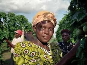 Africa 'barred from carbon trading'