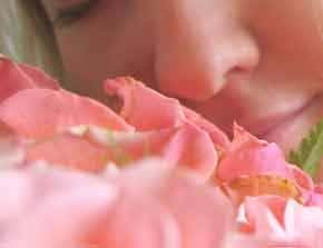 Nose model gets a cautious sniff