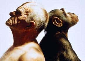 Metacognition: Known unknowns