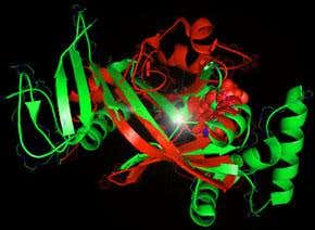 Intelligent design: The God Lab