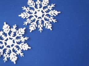 Festive special: No business like snow business